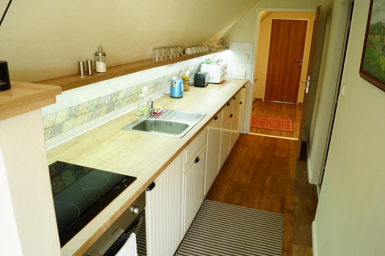 Apartmany U Komina เตเรซีน ภายนอก รูปภาพ